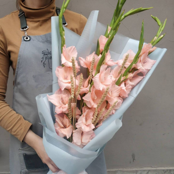 9 гладиолусов с колосьями 9 гладиолусов с колосьями