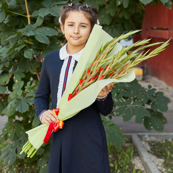 9 красных гладиолусов