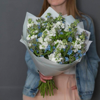 Маттиолы в букете - 19 шт.