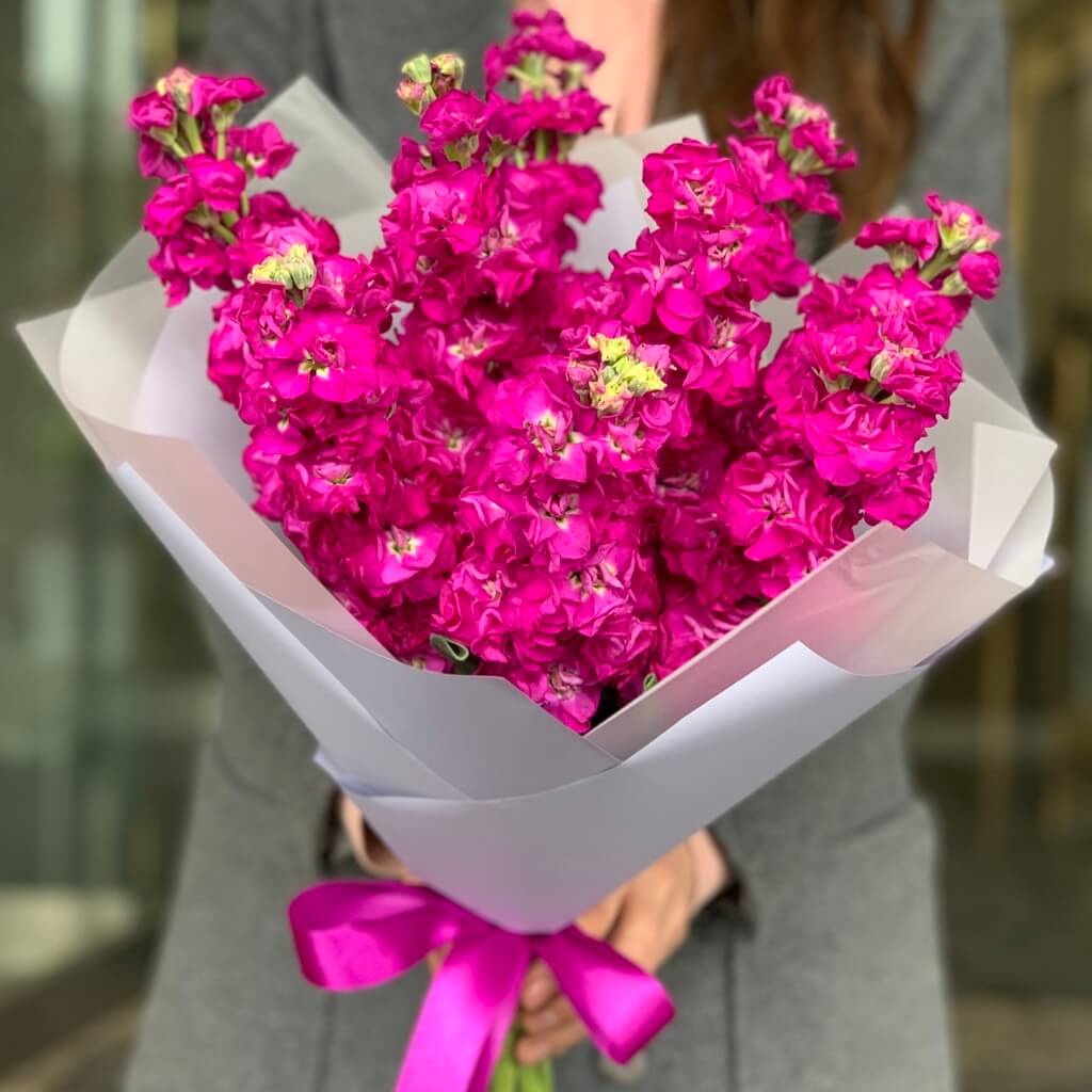 9 малиновых маттиол в букете