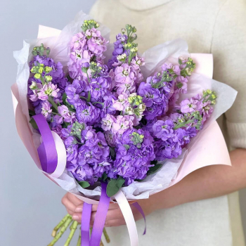 9 сиреневых маттиол в букете