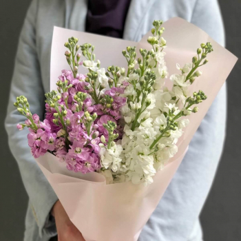 15 бело-розовых маттиол в букете
