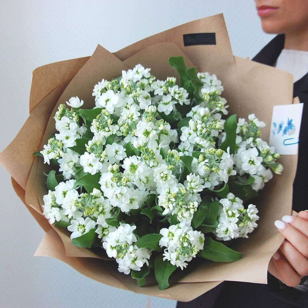 19 белых маттиол в букете