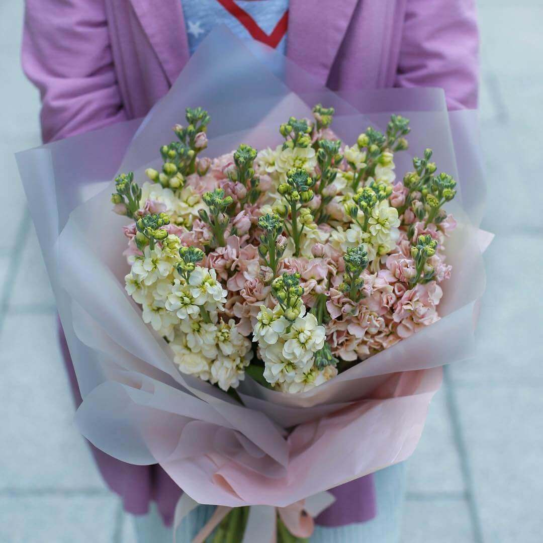 19 бело-персиковых маттиол в букете