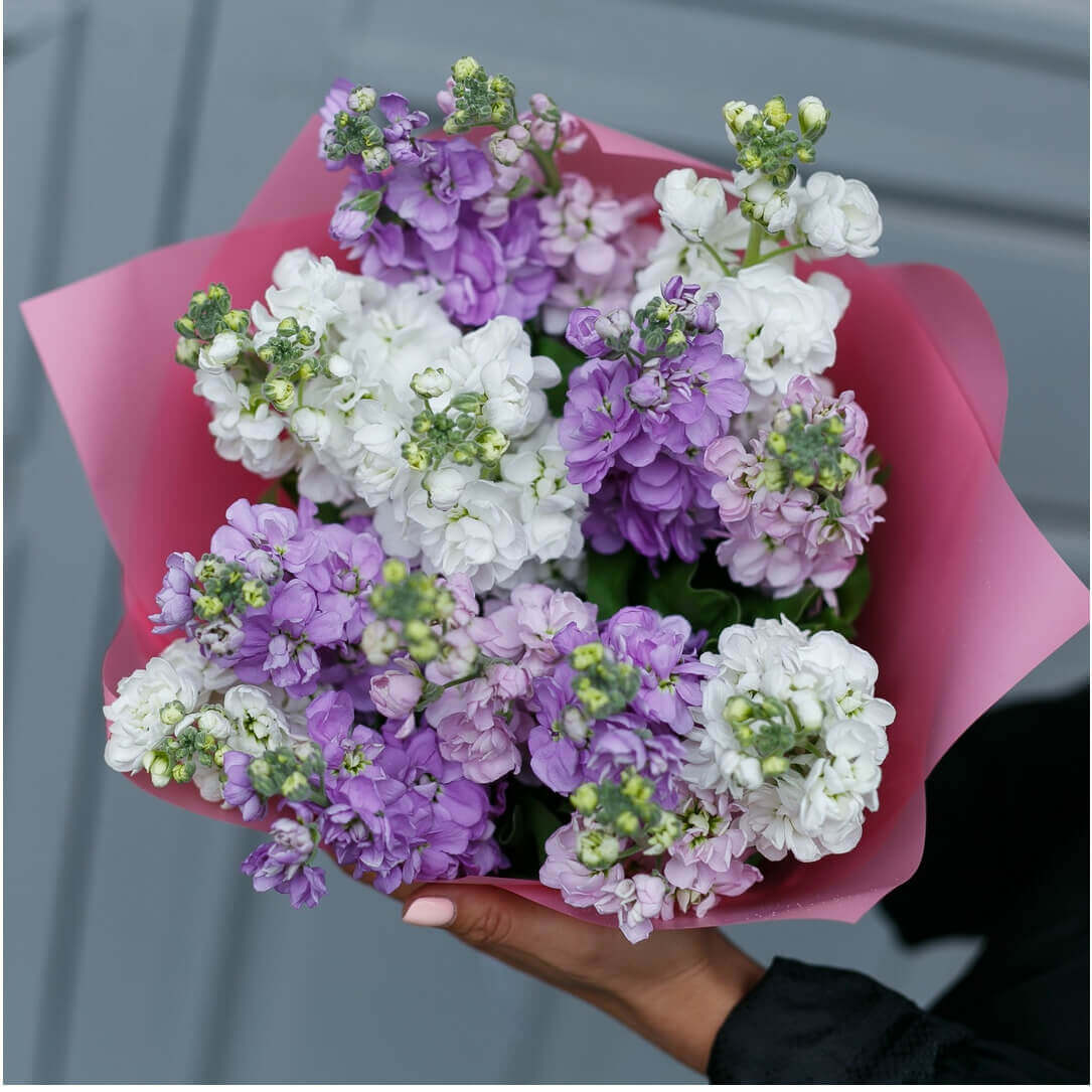 19 бело-розовых маттиол в букете