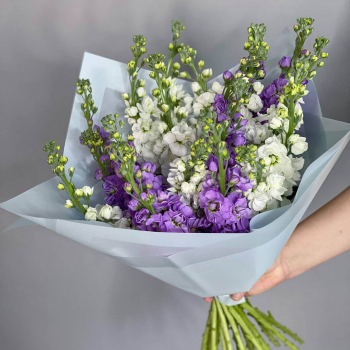 19 бело-фиолетовых маттиол в букете