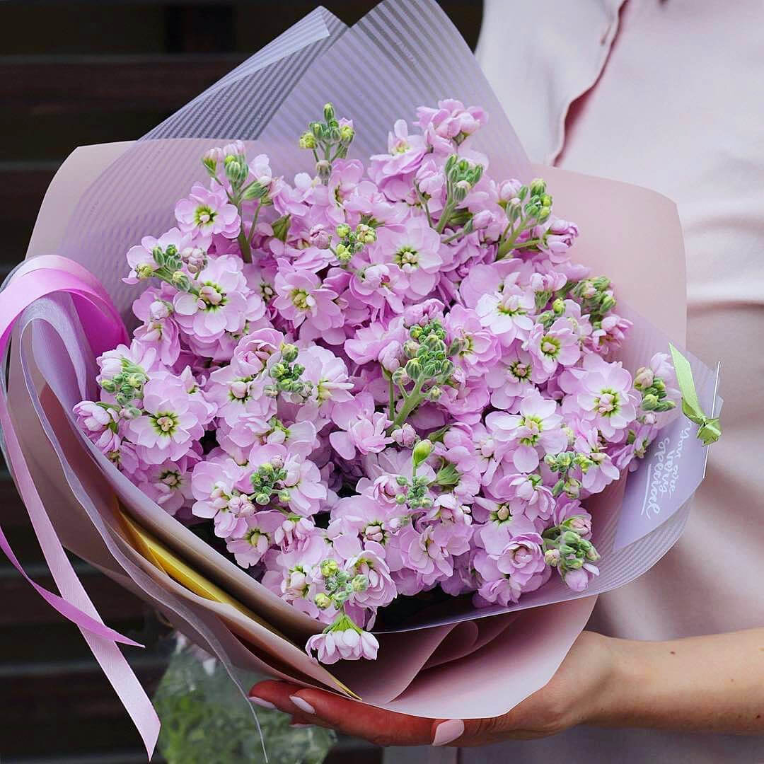 19 нежно-розовых маттиол в букете