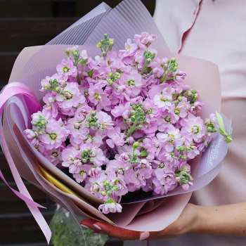 19 нежно-розовых маттиол в букете