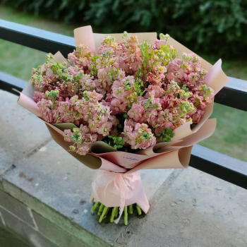 19 нежных маттиол в букете 19 нежных маттиол в букете