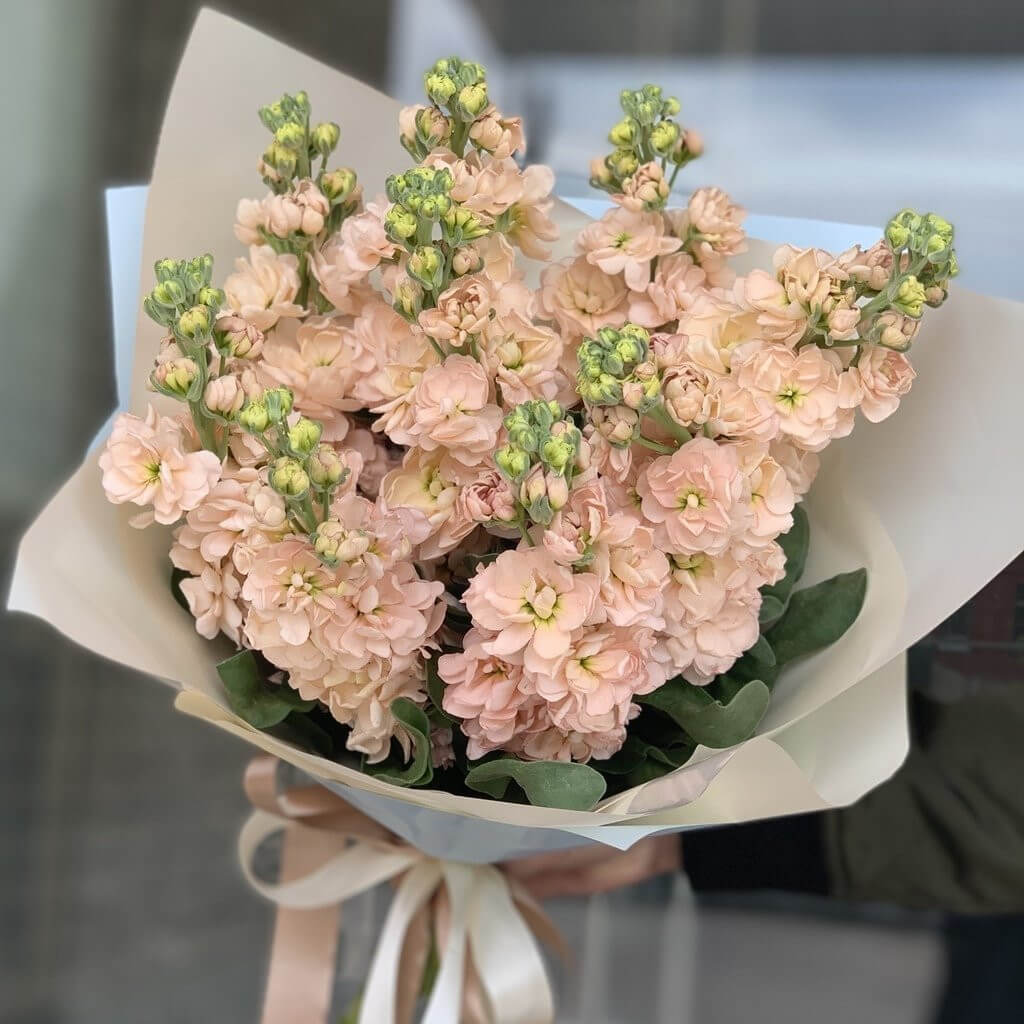 19 персиковых маттиол в букете