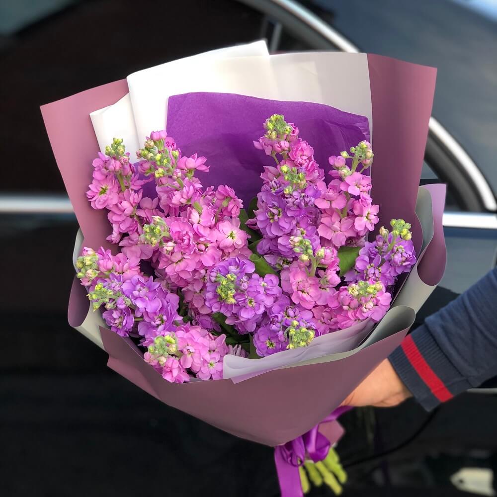 19 розово-фиолетовых маттиол