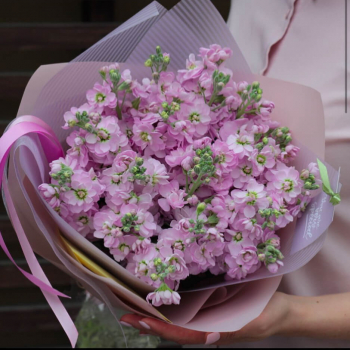 19 розовых маттиол в букете