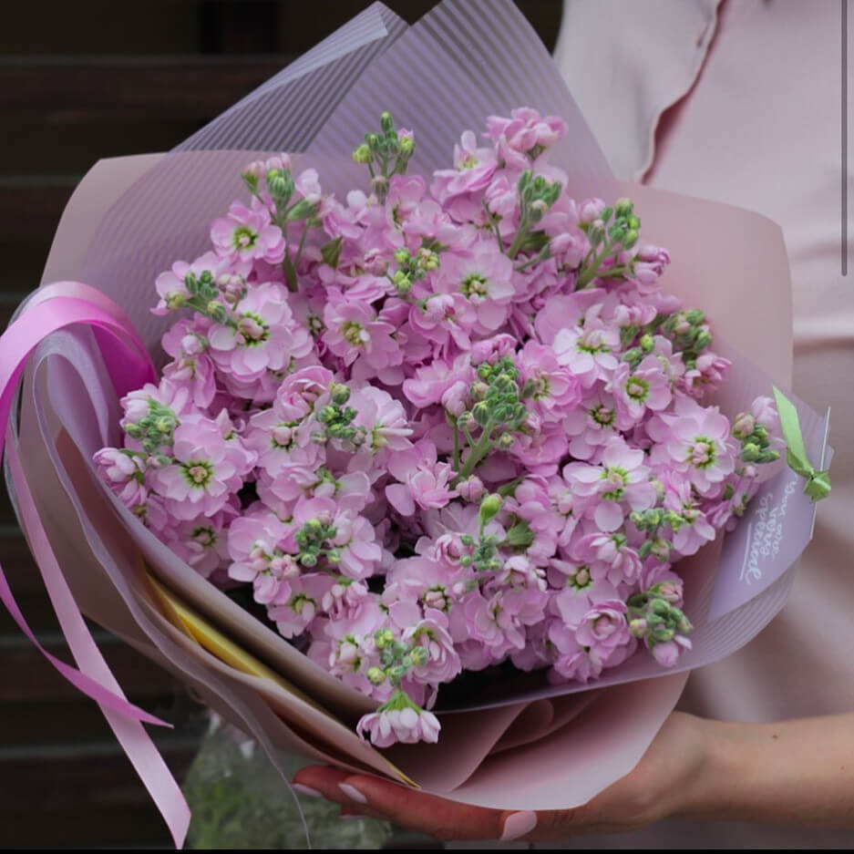 19 розовых маттиол в букете