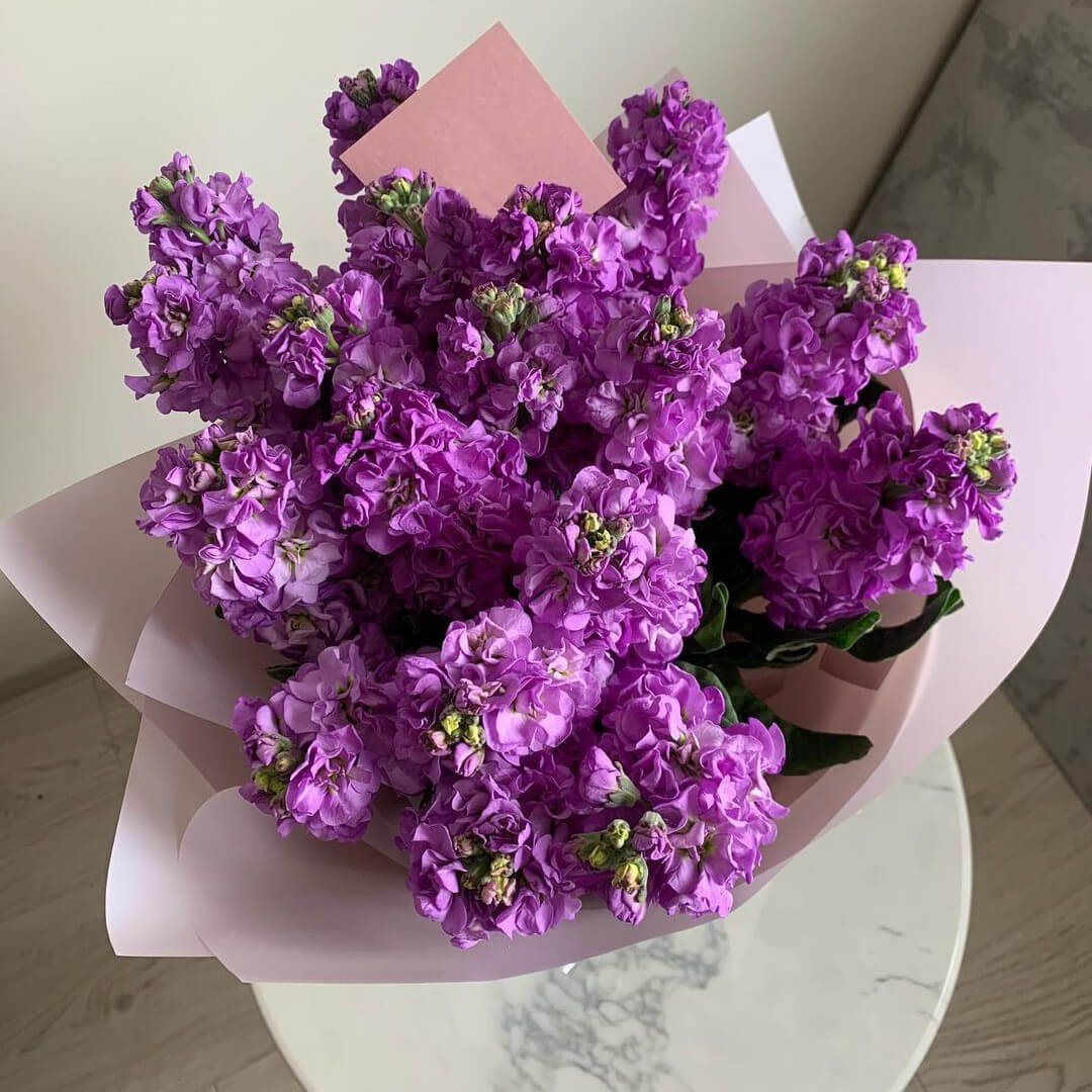 19 фиолетовых маттиол в букете