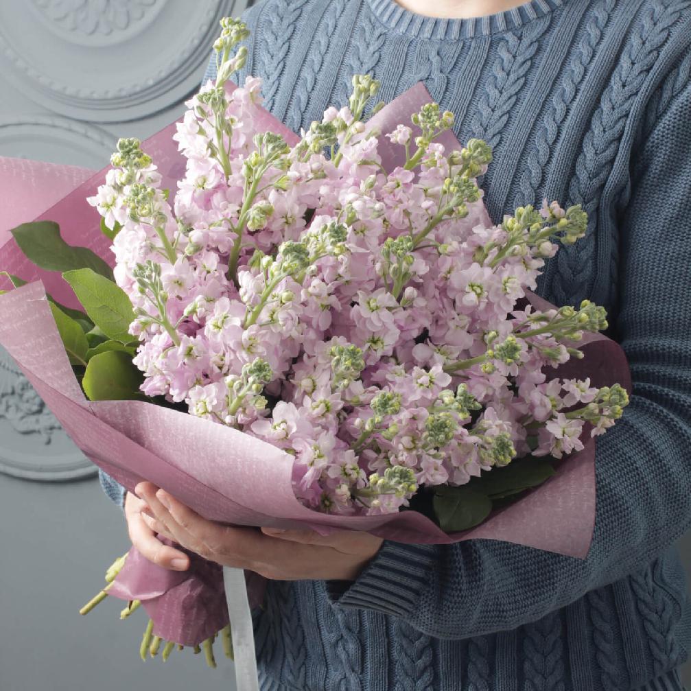 29 нежно-розовых маттиол в букете