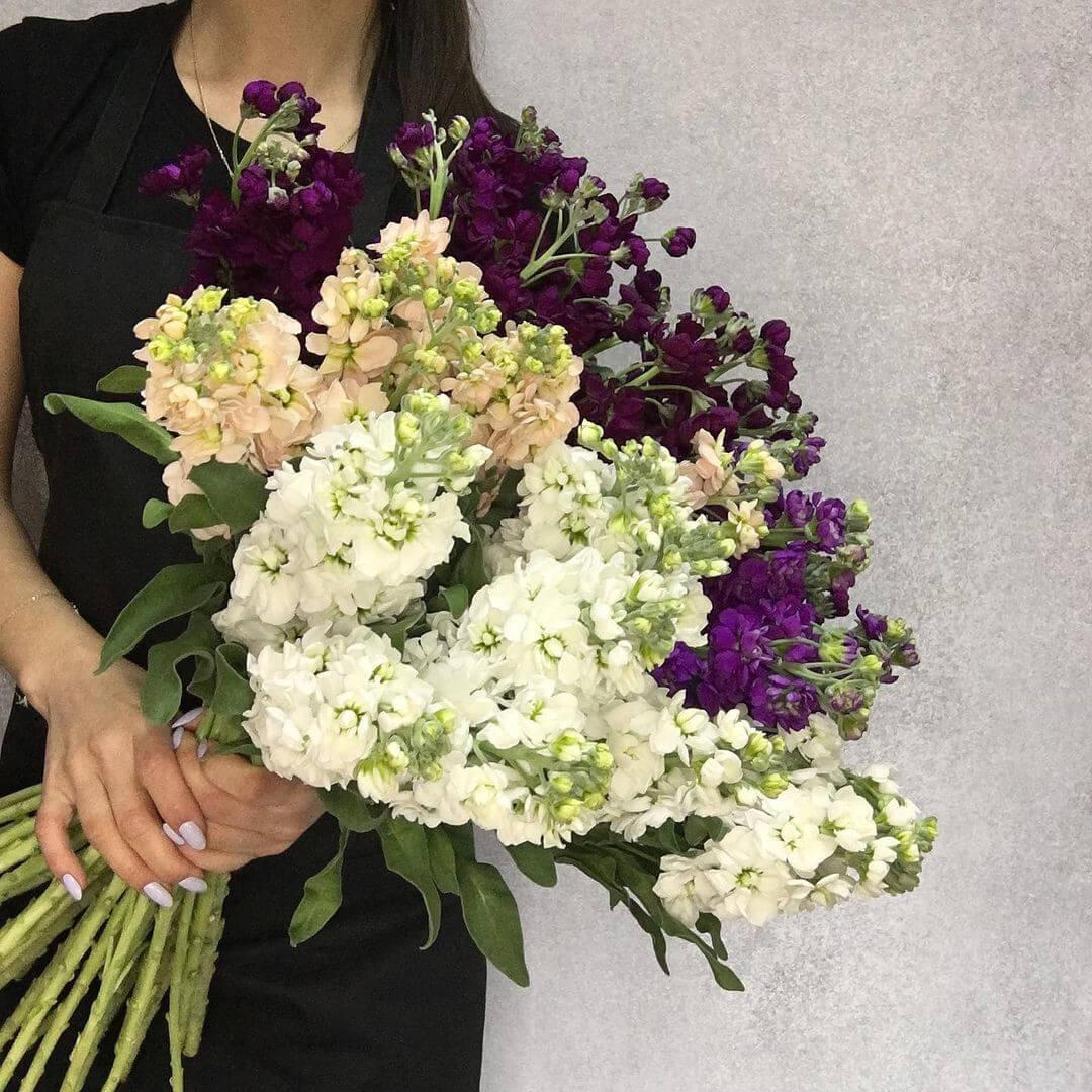 41 бело-фиолетовая маттиола в букете