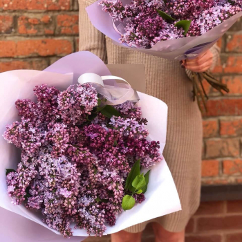 Букет из 9 веток фиолетовой сирени