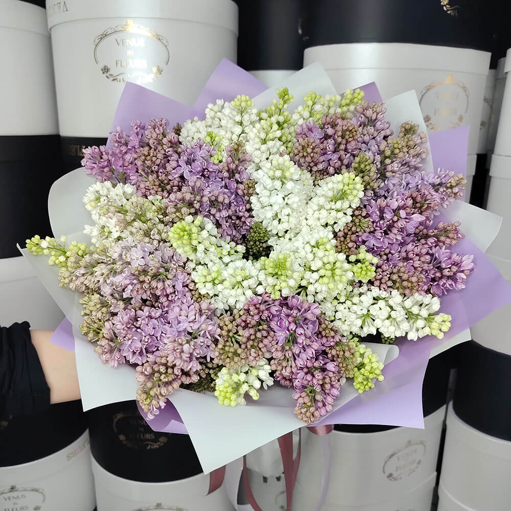 Букет из 19 веток сирени