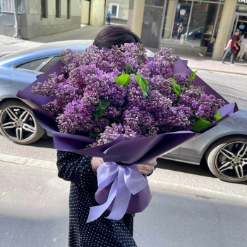 Букет из 29 веток фиолетовой сирени