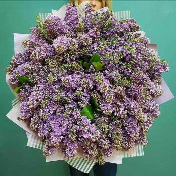 Букет из 51 ветки фиолетовой сирени