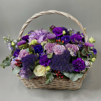 Микс с трахелиумом в корзине - 51 шт.