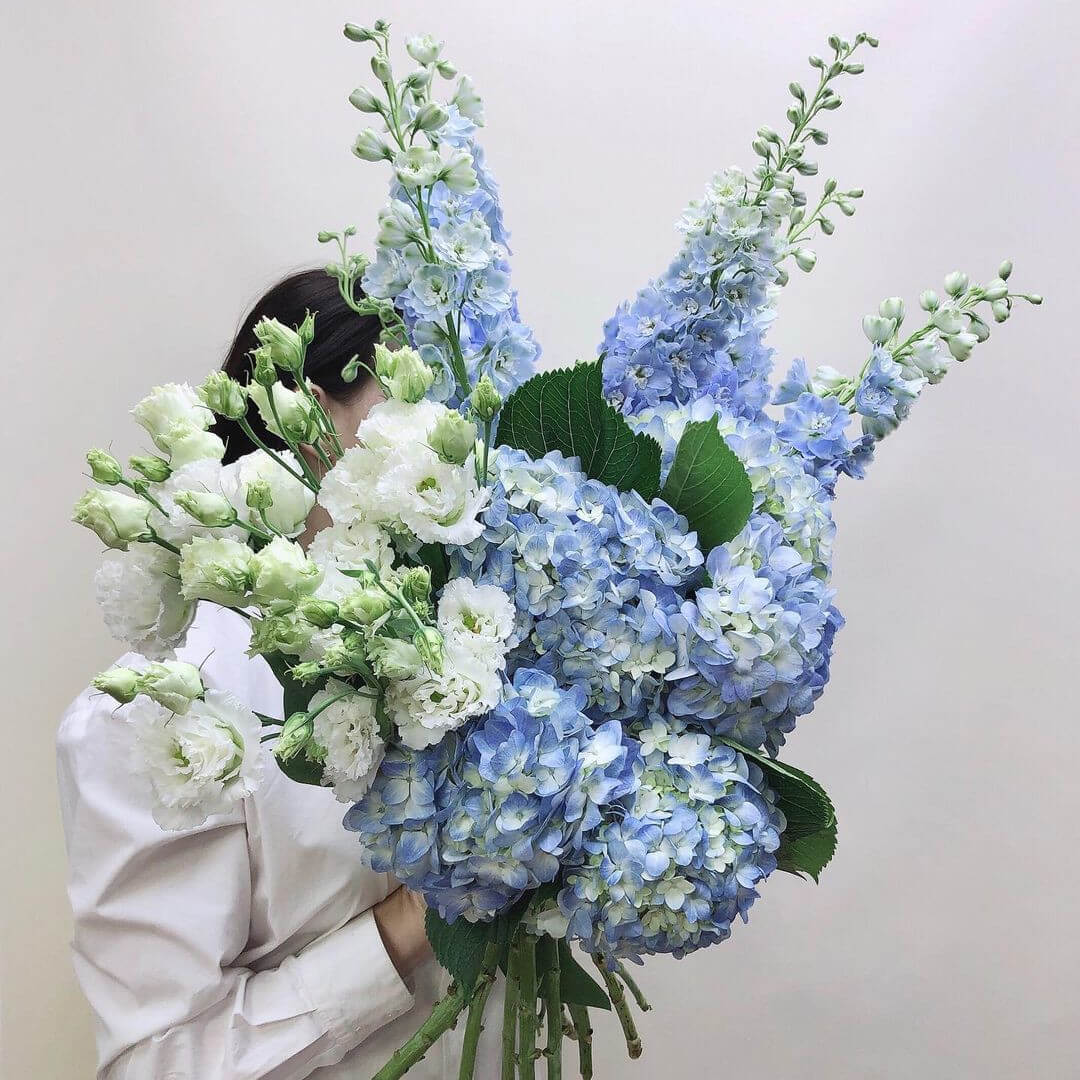 Дельфиниум с гортензией - 25 шт.