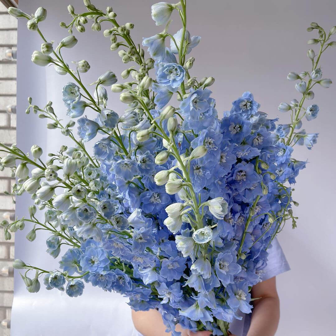 19 дельфиниумов в букете