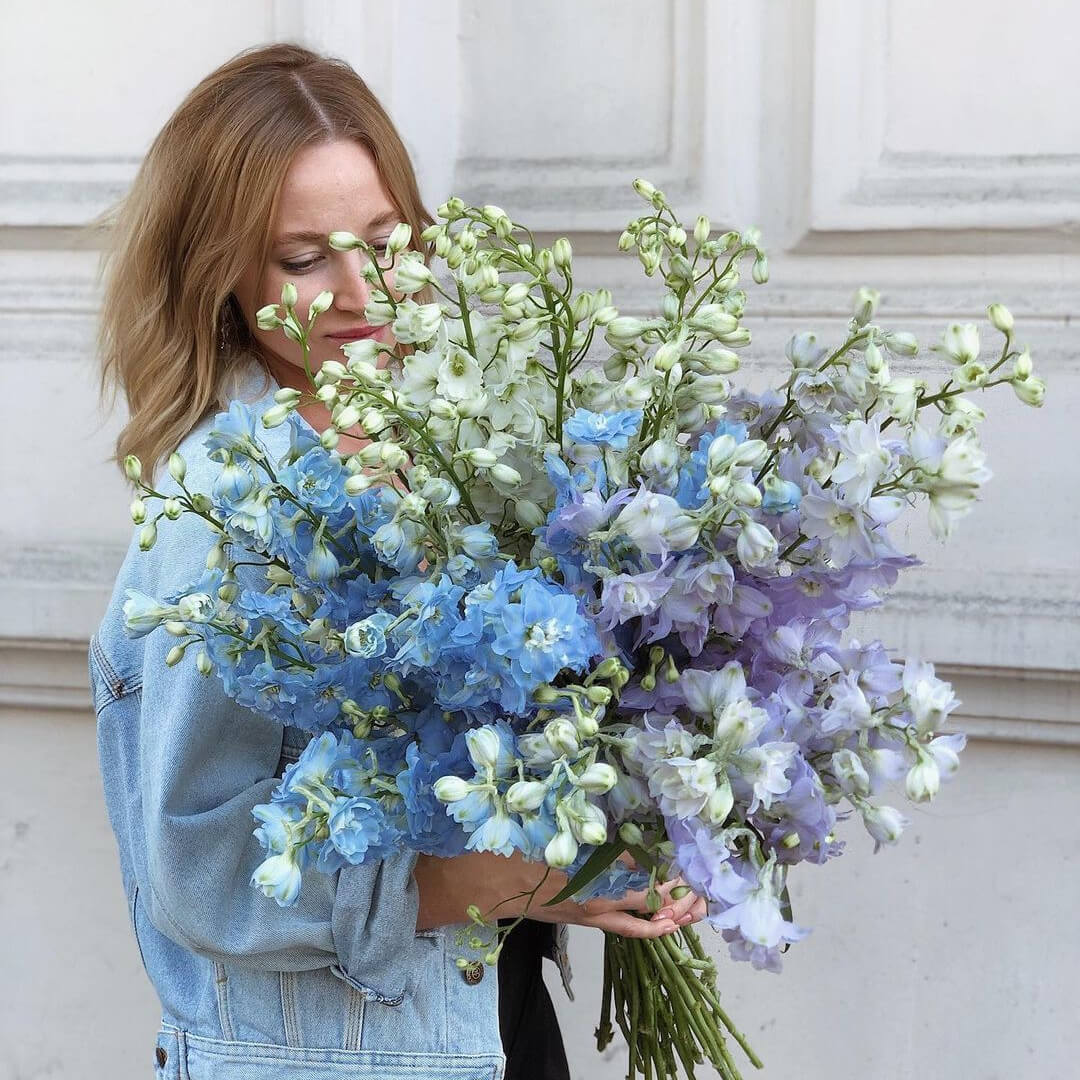 19 дельфиниумов в букете