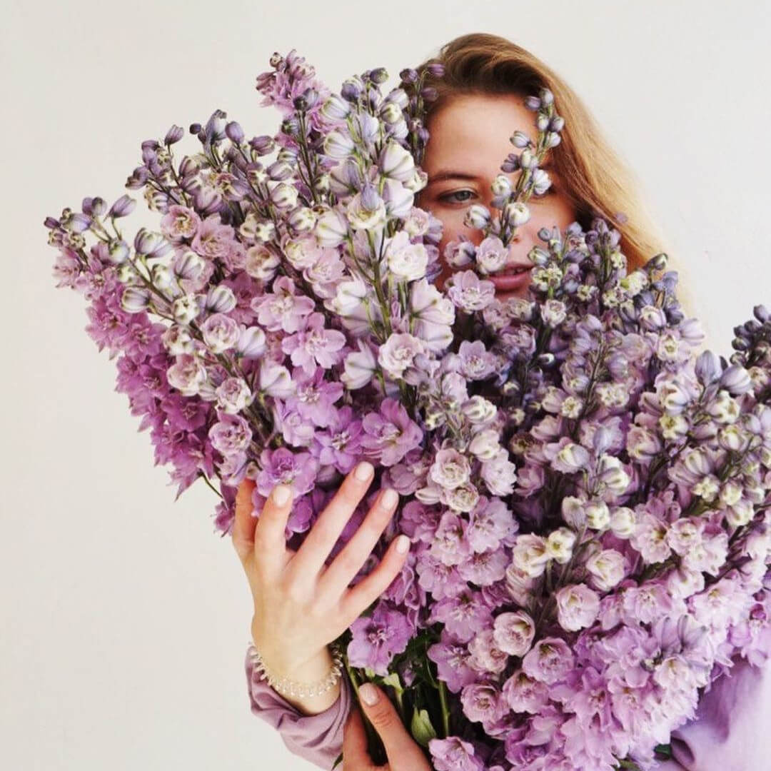 19 фиолетовых дельфиниумов