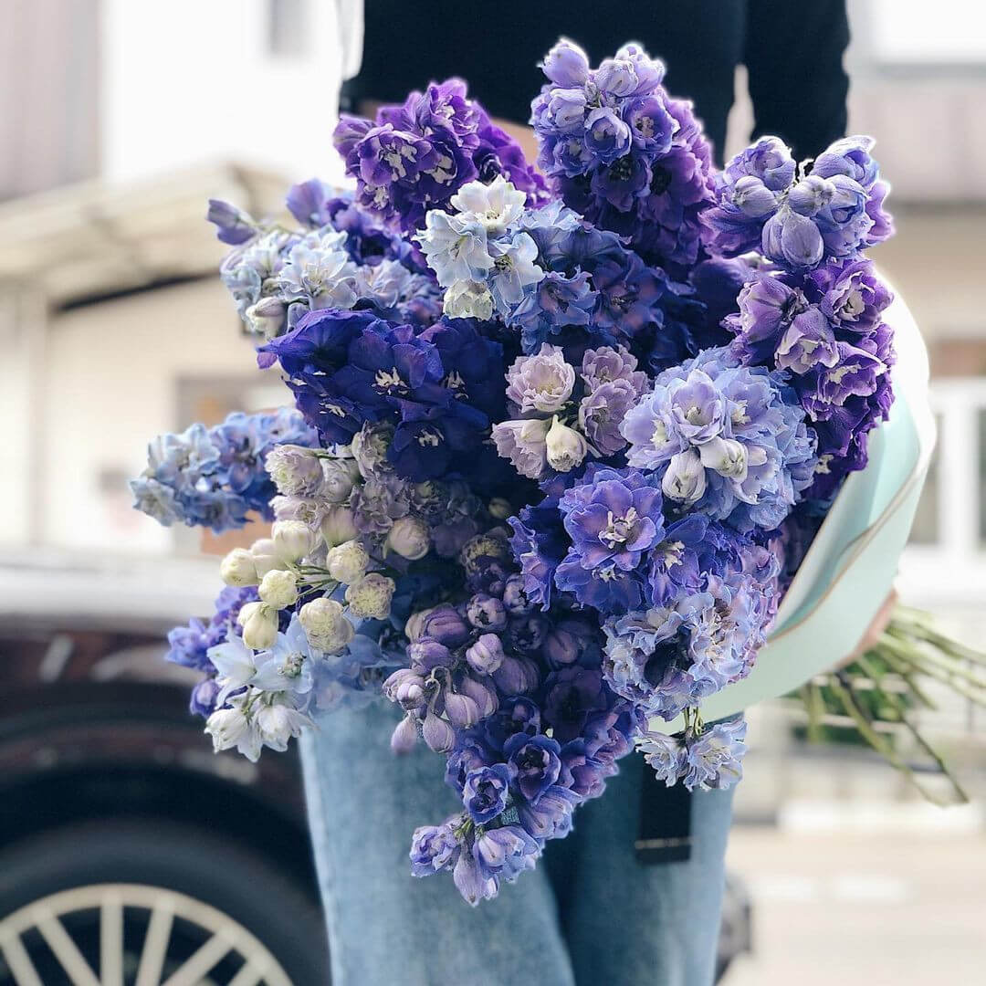 29 голубых дельфиниумов