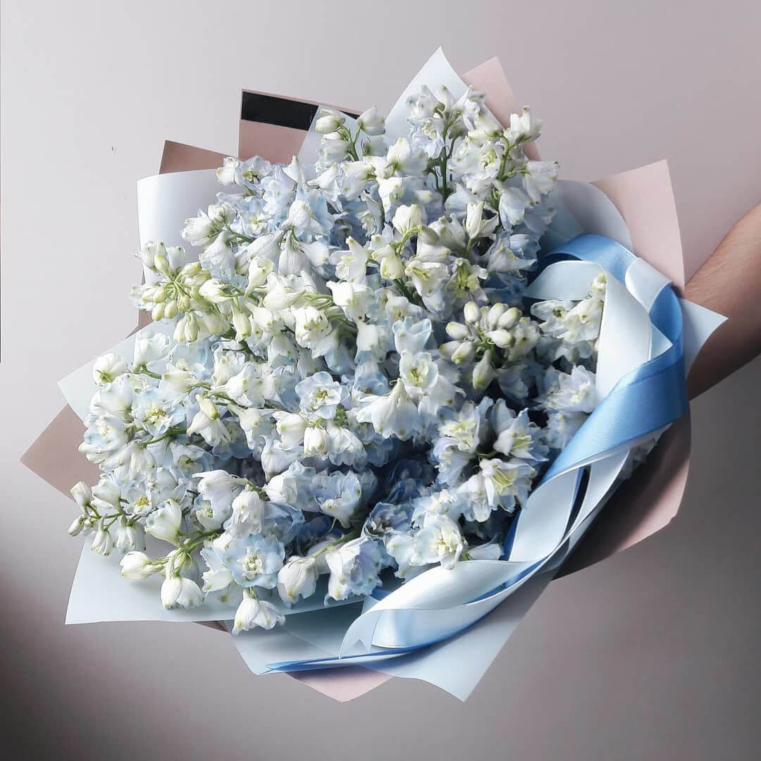 29 голубых дельфиниумов