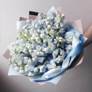 29 голубых дельфиниумов