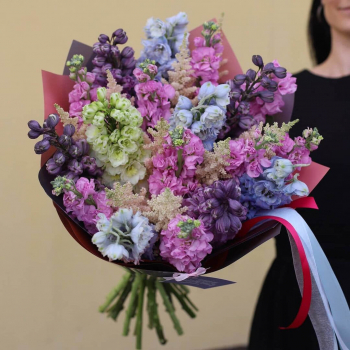 29 разноцветных  дельфиниумов