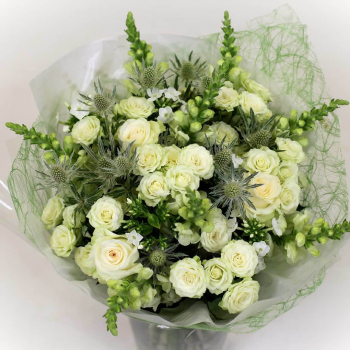 Антирринумы с розами - 25 шт.