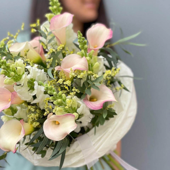 Антирринумы с каллами - 19 шт.