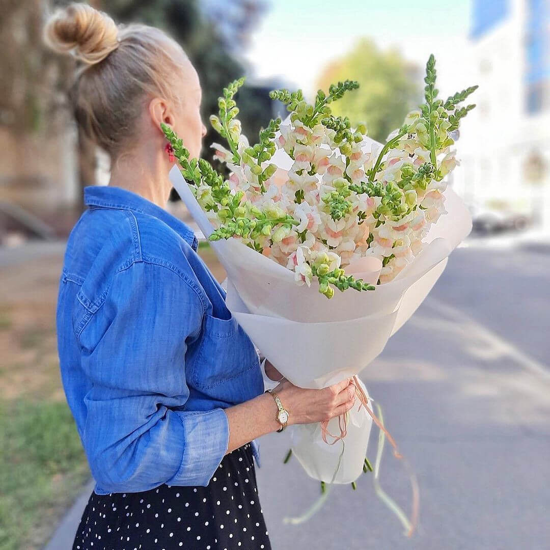 19 белых антирринумов