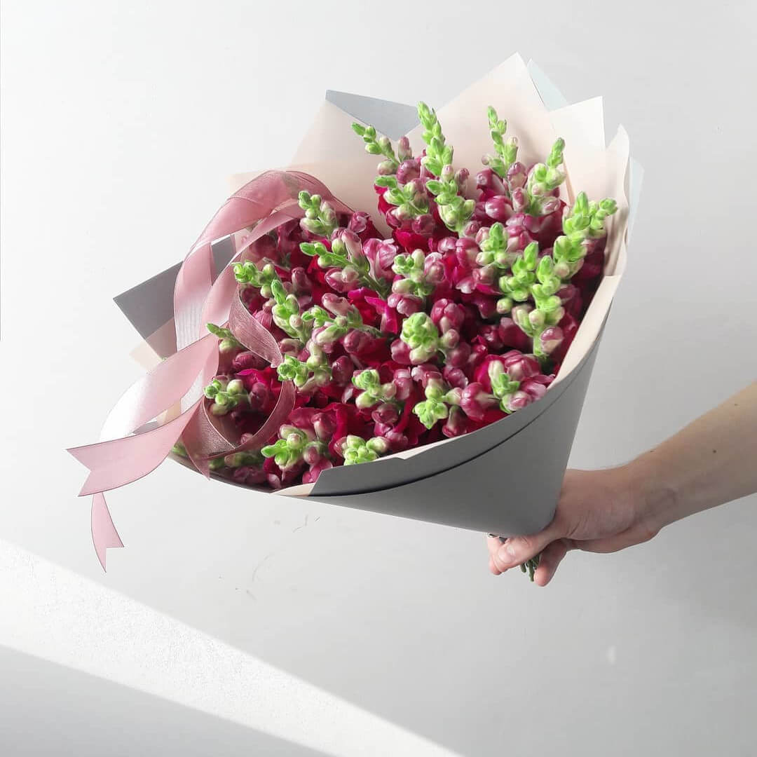 19 темно-розовых антирринумов