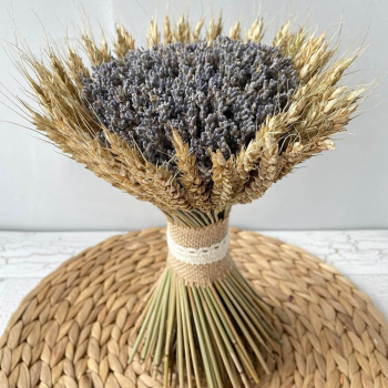 Лаванда с колосьями - 151 шт.