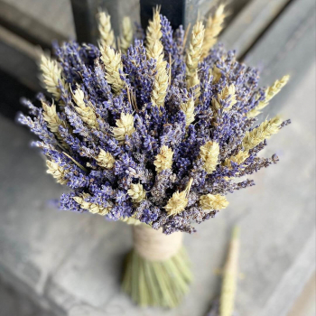Колосья с лавандой - 61 шт.