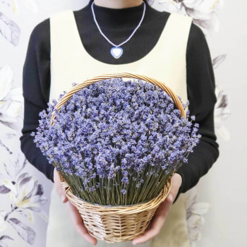 301 лаванда в корзине