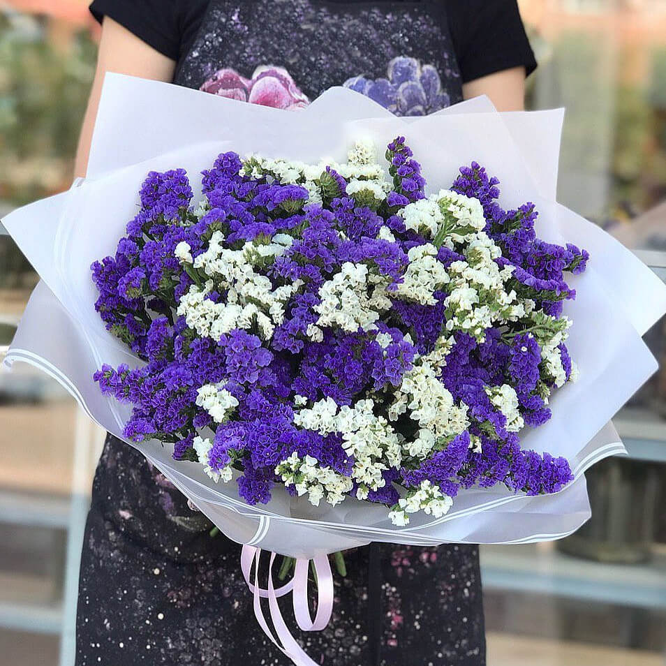 Бело-фиолетовая статица - 29 шт.