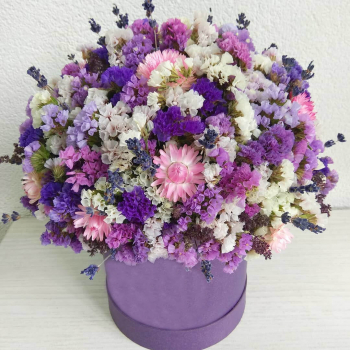 41 лимониум в коробке