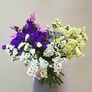 51 разноцветный лимониум в букете