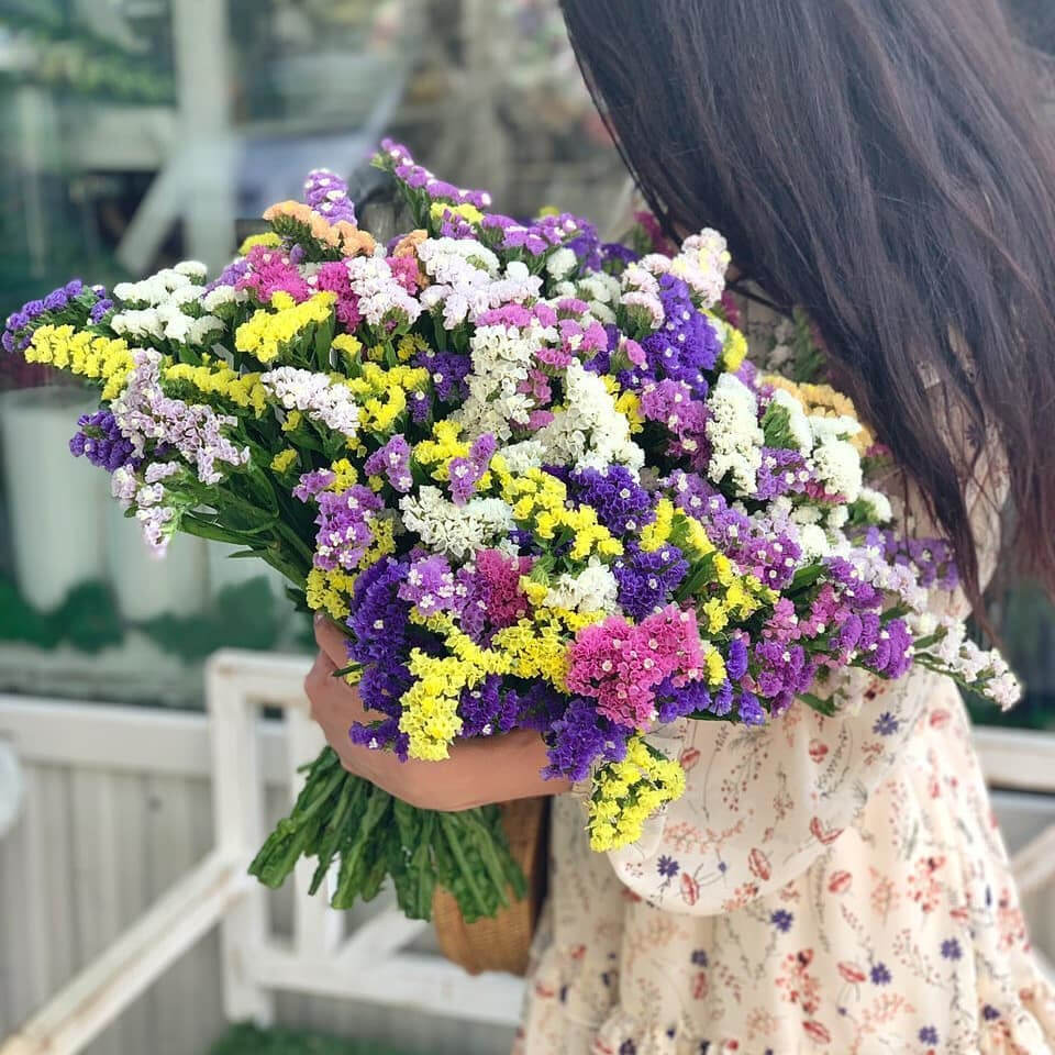 101 разноцветная статица  в букете