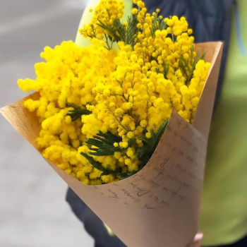 3 мимозы в букете