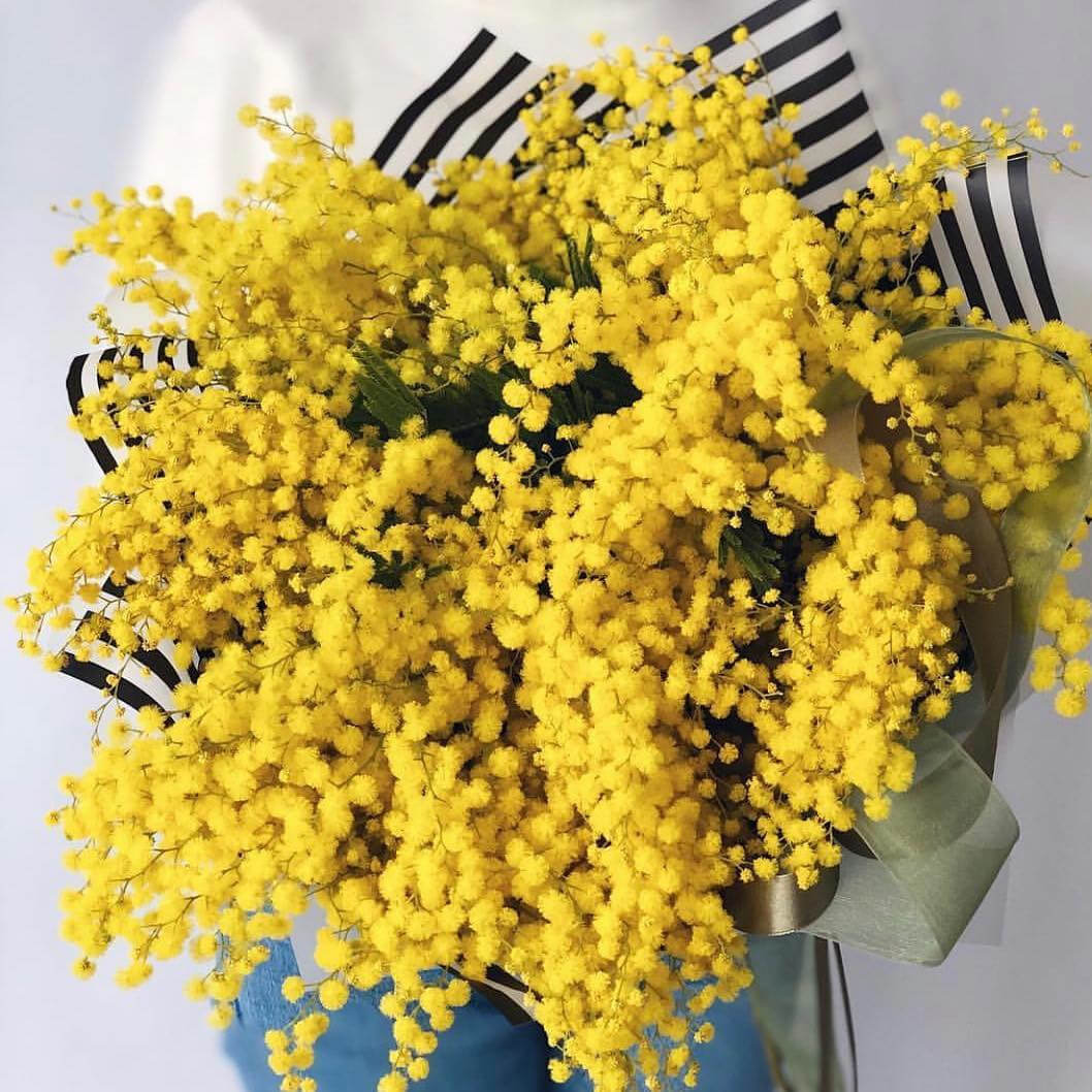 11 мимоз в букете