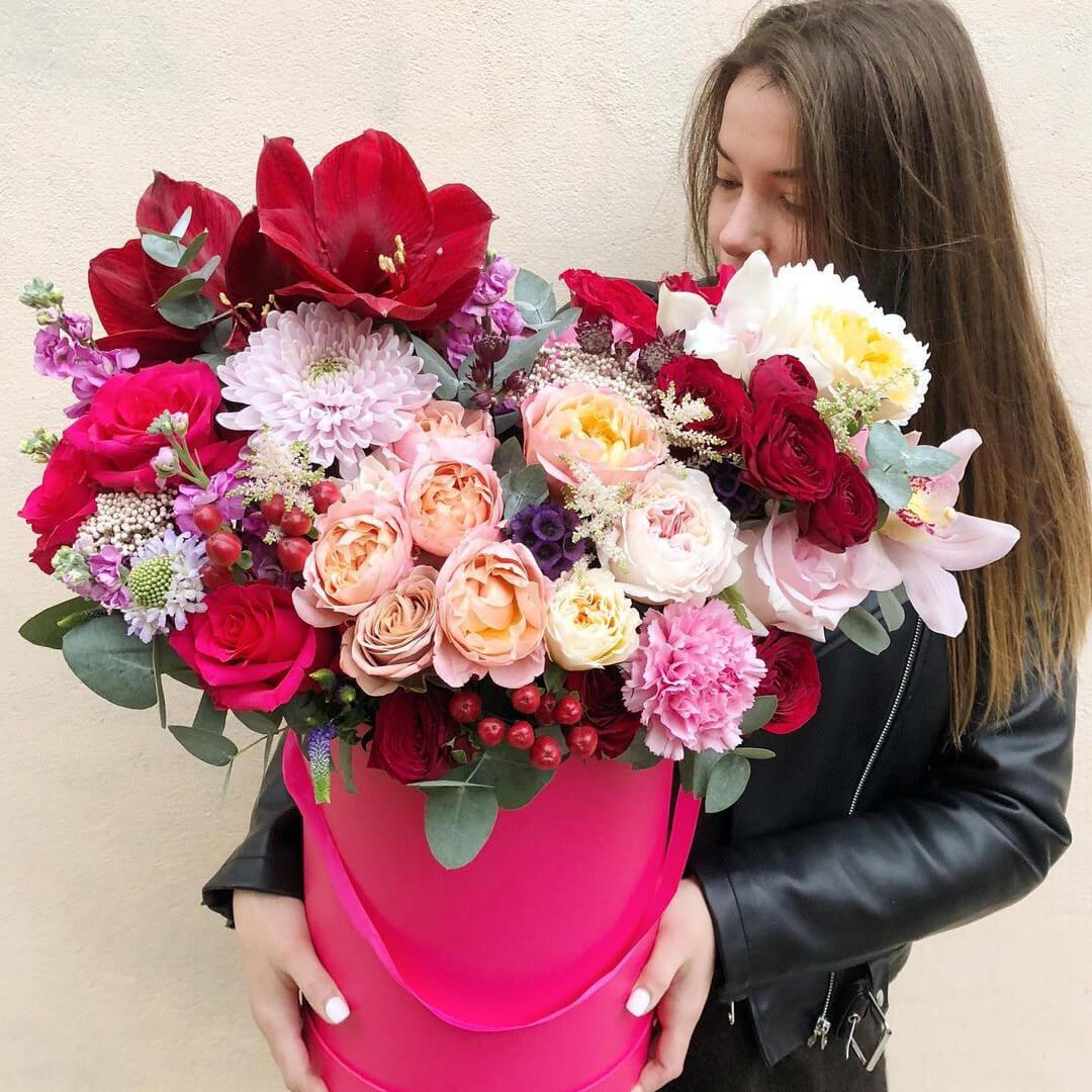 Амариллисы в коробке - 35 шт.