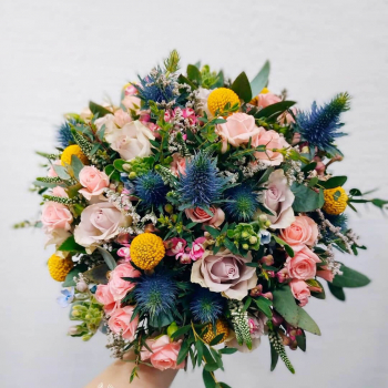 Эрингиум в миксе - 35 шт.