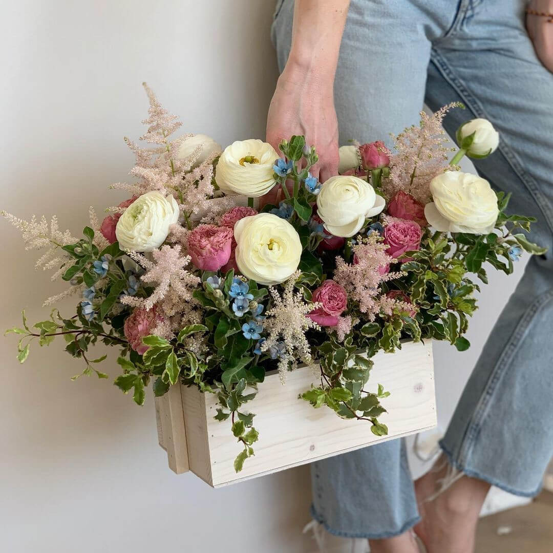 Ранункулюсы в кашпо - 19 шт.