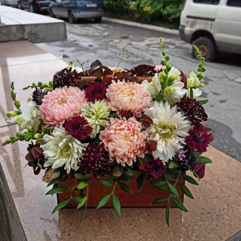 Хризантемы с маттиолой - 25 шт.